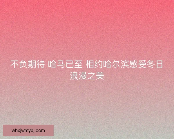 不负期待 哈马已至 相约哈尔滨感受冬日浪漫之美