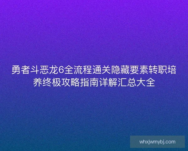勇者斗恶龙6全流程通关隐藏要素转职培养终极攻略指南详解汇总大全